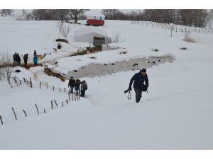 Fotoğraf sanatçıları Muş'ta kışın güzelliklerini görüntüledi