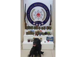 Zonguldak'ta uyuşturucu operasyonu