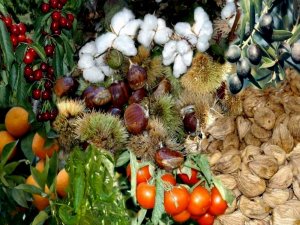 Tarımsal krediler yeniden vadelendirilebilecek