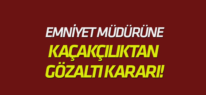 İlçe Emniyet Müdürü, Tarihi Eser Kaçakçılığından Gözaltına Alındı
