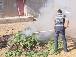 Konya'da uyuşturucu operasyonu