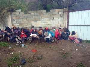 Hatay’da 88 Suriyeli kaçak göçmen yakalandı
