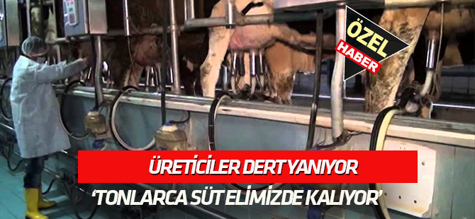 Üreticiler dert yanıyor:  TONLARCA SÜT ELİMİZDE KALIYOR