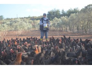 Hobisini gelir kapısına çevirdi