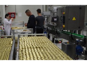 ’Bal’a 4 dilli analiz