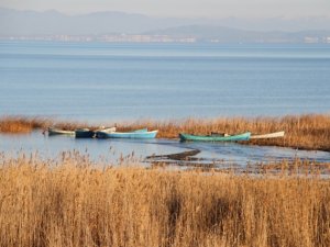 Son yağışlar Beyşehir Gölü için umutları artırdı