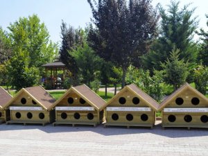 Konya'da sokak hayvanları için 130 sıcak yuva