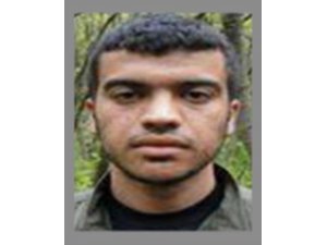 Gri listedeki terörist Şırnak'ta teslim oldu