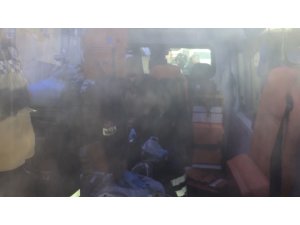 Abi-kardeş kavgası kanlı bitti