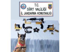 Siirt’te silah ve mühimmat ele geçirildi