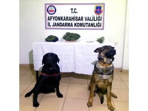 Jandarmadan uyuşturucu madde operasyonu