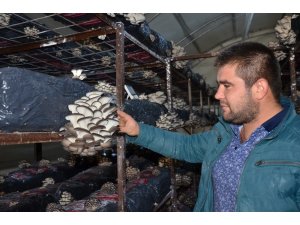 Genç çifti projesiyle hayatı değişti