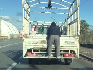 Kamyonetin arkasında tehlikeli yolculuk yürekli ağza getirdi