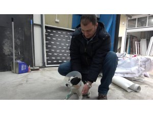 O sürücüyle köpeğin sahibi buluştu