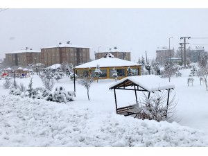 Pursaklar Belediyesi halterde 2 bronz madalya kazandı