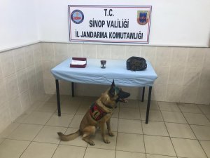 Uyuşturucuyu ’Çevik’ buldu: 2 gözaltı