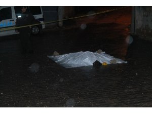 Müstakile evin bahçesinde feci olay: 1 ölü 2 yaralı