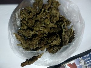 Kuşadası’nda 50 gram hint keneviri ele geçirildi
