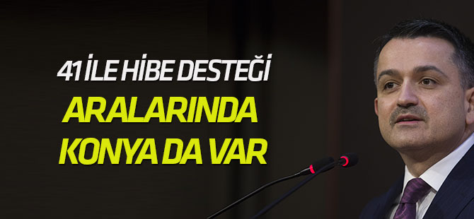 Hayvancılıkta 41 ile hibe desteği