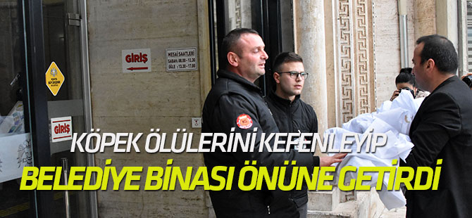 Köpek ölülerini kefenleyip belediye binası önüne getirdi!