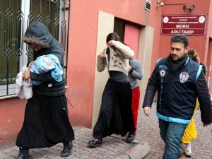 Ev fareleri yakalandı