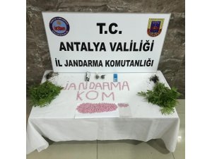 Alanya’da 738 adet uyuşturucu hap ele geçirildi