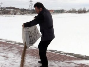 Çumra Belediyesi sokak hayvanlarını unutmadı