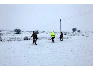 Elazığ'da kaçan anguslar jandarma tarafından bulundu
