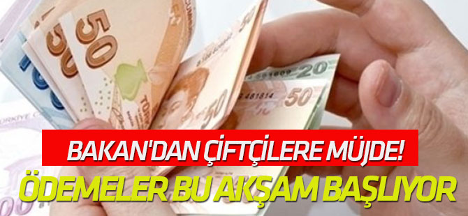 Bakan'dan Çiftçilere Müjde! 972 Milyon Lira Destek Sağlanacak