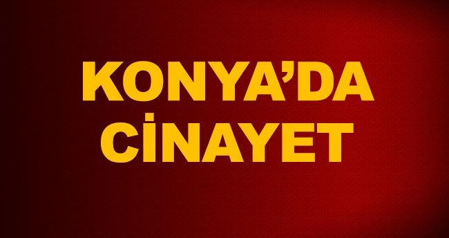 Ağabeyini öldürüp tuvalete gömdü