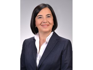 Eskişehir Milletvekili Süllü'nün yeni yıl mesajı