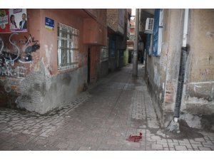 Gaspçılar, telefonunu vermeyen vatandaşı silahla başından vurdu