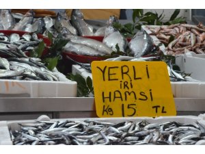 Talep azaldı, hamsi fiyatı geriledi