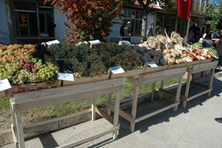 Tuzlukçuda Üzüm, Kavun, Karpuz Festivali