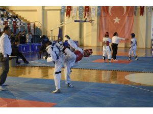 Tekvandocular  Türkiye Şampiyonası'nda  Konya'da tatamiye çıkacak