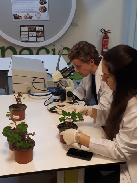 Doğa öğrencileri 6 projeyle Harward’ta