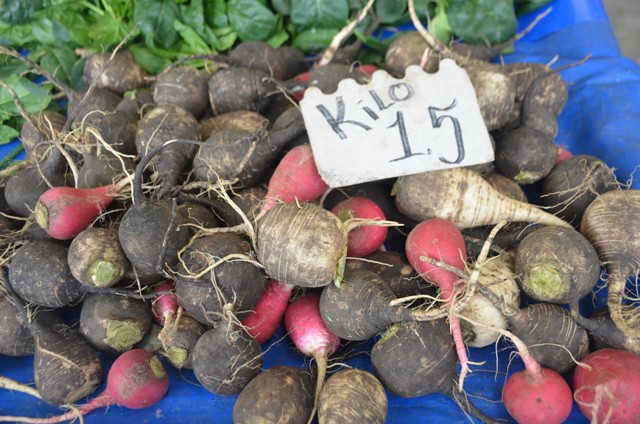 Konya’nın kara turpu  öksürüğe birebir
