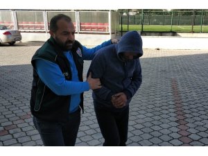Samsun’da bonzai ticaretine gözaltı