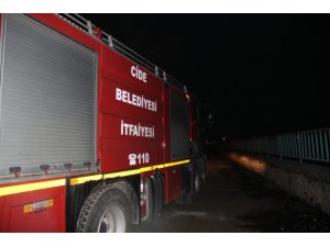 Cide ilçesindeki yangın paniğe neden oldu