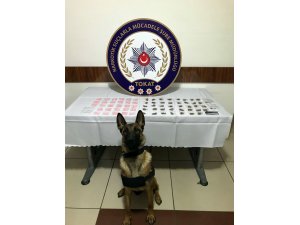 Tokat'ta uyuşturucu operasyonu