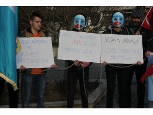 Çin'in Doğu Türkistan politikalarına tepkiler