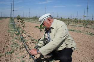 Beyşehirli avukatın örnek elma bahçesi