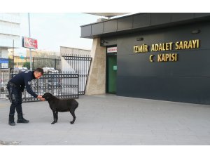 "Fethi Sekin'in kahramanlığı unutulmaz"