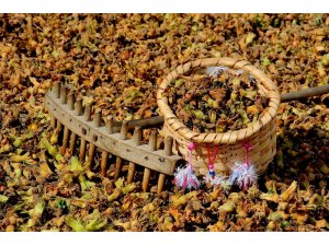 KFMİB: “Alan bazlı destek sıladakine verilmeli”