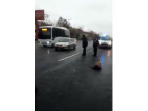 Yaralı köpeğe zabıta ekibi sahip çıktı
