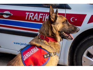Sakarya’da 2018 yılında uyuşturucudan 75 şahıs tutukladı