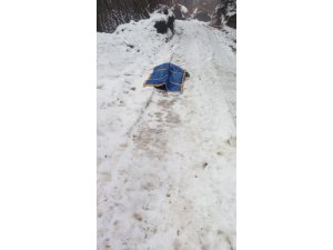 Uludağ’da aç hayvanlara yemek götürürken öldü