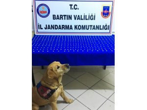 Jandarmadan uyuşturucu operasyonu: 3 gözaltı