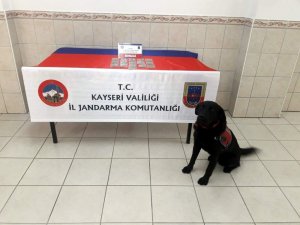Jandarmadan uyuşturucu operasyonu