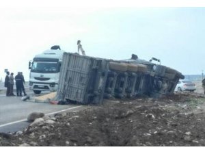 Hatay’da tır devrildi, mısırlar yola saçıldı